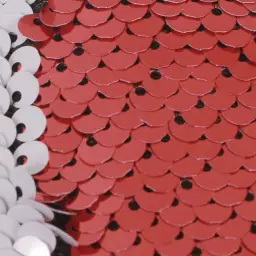 Imagen del producto 0513000255