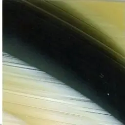 Imagen del producto 2000000000664