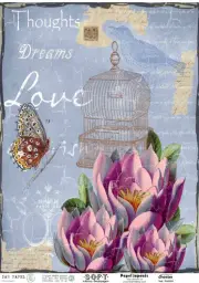 Imagen del producto 2000000024059