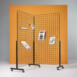 2000000038667
