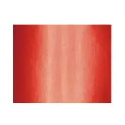 6923980231872