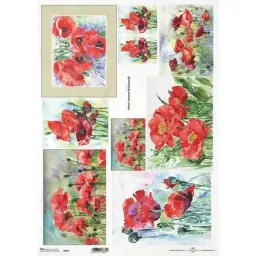 Imagen del producto 5901779133317