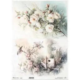 Imagen del producto 5906530631026