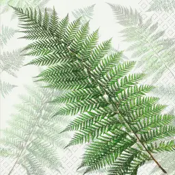 Imagen del producto 7630050827628