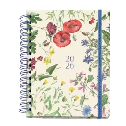 Imagen del producto 8422593345801