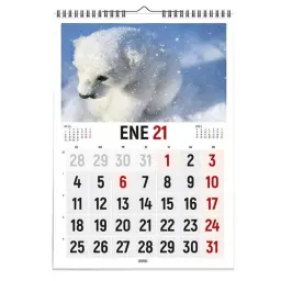 Imagen del producto 8422725514532