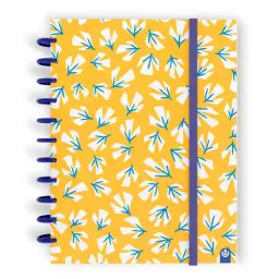 Imagen del producto 8422951066683