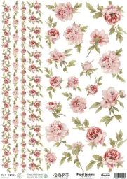 Imagen del producto 8434910000539