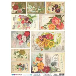 Imagen del producto 8434910001543