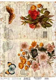 Imagen del producto 8434910015243