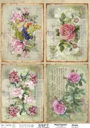 Imagen del producto 8434910015274