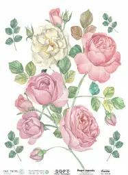 Imagen del producto 8434910015410