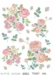 Imagen del producto 8434910015434