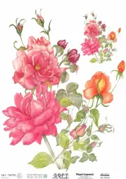 Imagen del producto 8434910015441