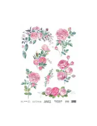 Imagen del producto 8434910015496