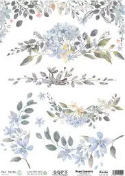 Imagen del producto 8434910015502