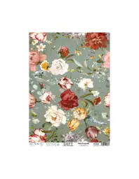 Imagen del producto 8434910015861