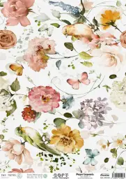 Imagen del producto 8434910015984