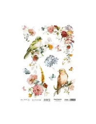 Imagen del producto 8434910016011