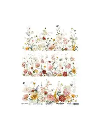 Imagen del producto 8434910016042