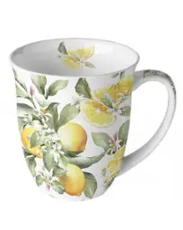 Imagen del producto 8712159175523