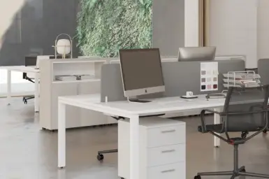 Imagen del producto 901149