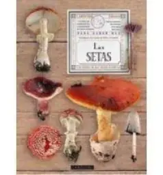 Imagen del producto 9788480169738