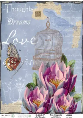 Imagen del producto 2000000024059