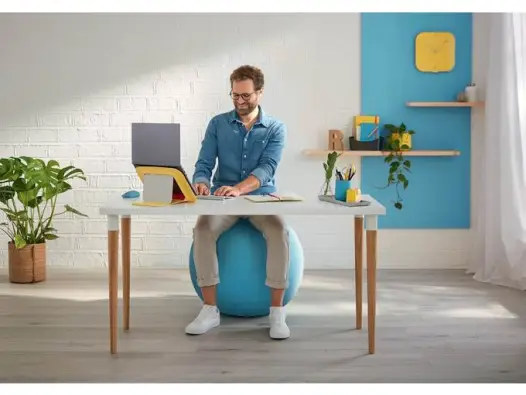 Imagen del producto 4002432129539