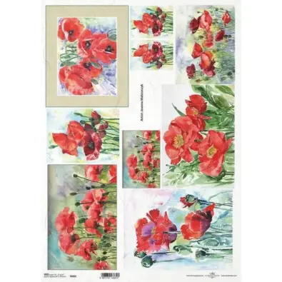 Imagen del producto 5901779133317