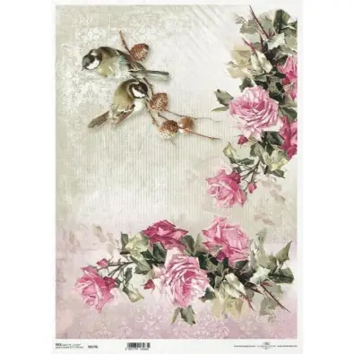 Imagen del producto 5901779135632