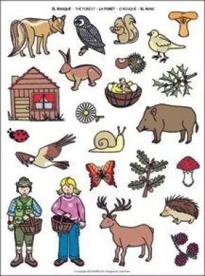 Imagen del producto 8410782114444