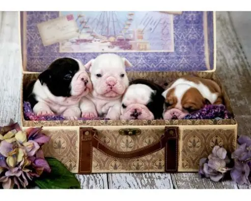 Imagen del producto 8412668190078