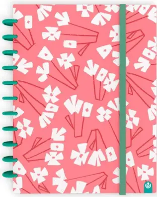 Imagen del producto 8422951066676