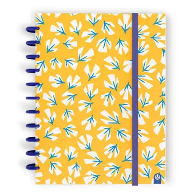 Imagen del producto 8422951066683