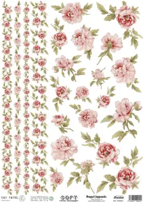 Imagen del producto 8434910000539