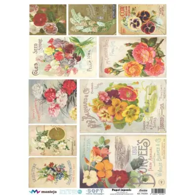 Imagen del producto 8434910001543