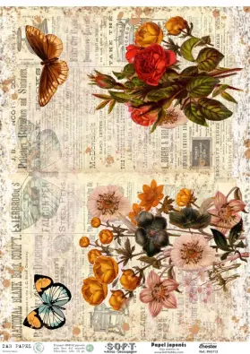 Imagen del producto 8434910015243