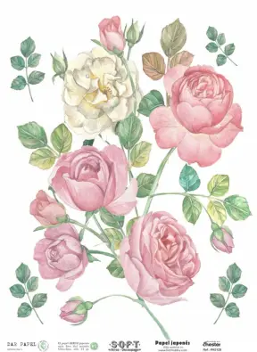 Imagen del producto 8434910015410