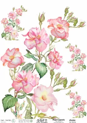 Imagen del producto 8434910015472