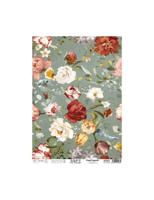 Imagen del producto 8434910015861