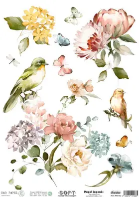 Imagen del producto 8434910015885