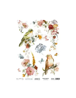 Imagen del producto 8434910016011