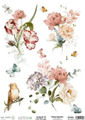 Imagen del producto 8434910016028