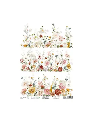 Imagen del producto 8434910016042