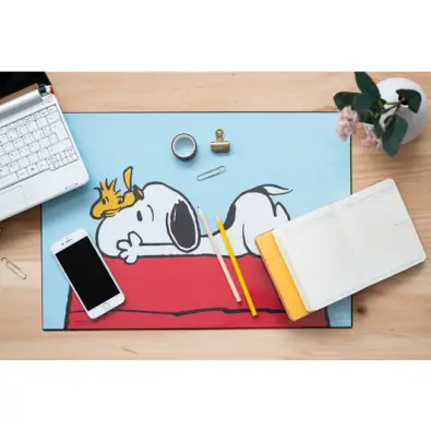 Imagen del producto 8435497230845