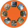 traducir('Foto del artÃ­culo'); 4033477402363